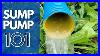 Backyard_Sump_Pump_101_Everything_You_Need_To_Know_01_gumc