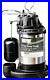 New_Wayne_Cdu980e_Submersible_Cast_Iron_Stainless_3_4hp_Water_Sump_Pump_Switch_01_ds