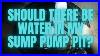 Should_There_Be_Water_In_Sump_Pump_Pit_Question_Answered_01_wl