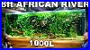 The_8ft_African_River_Aquarium_Epic_1000l_Build_Over_300_Fish_Aquascape_Tutorial_01_xgz