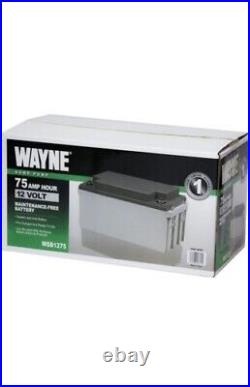 Wayne WSB1275 Maintenance Free AGM Backup Sump Pump Battery (75 AH)